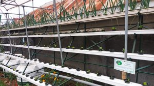 Read more about the article Business Mindset Training Equips Youth Climate Champions and Group Leaders in Isingiro District